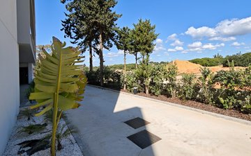 Property slide 43
