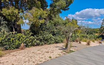 Property slide 41