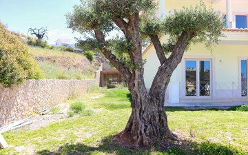 Property slide 64