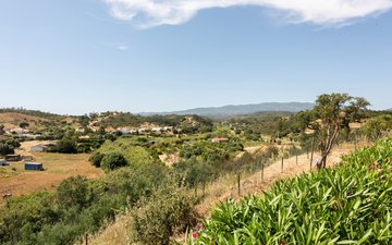 Property slide 42