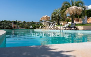 Property slide 80