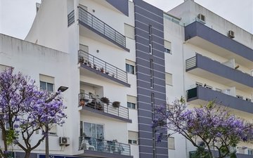 Property slide 46