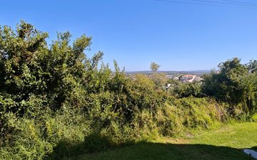 Property slide 19