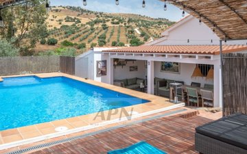 Property slide 24