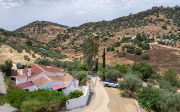 Property slide 28