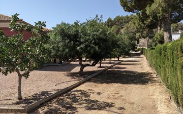 Property slide 21