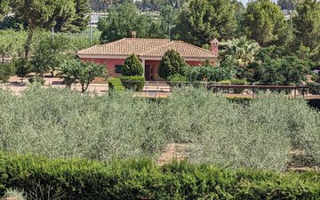 Property slide 26