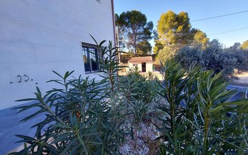 Property slide 13