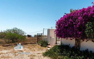 Property slide 37
