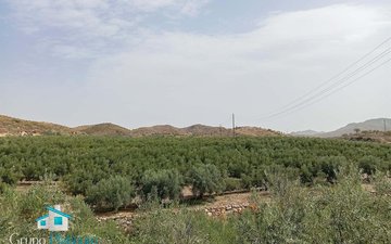 Property slide 29