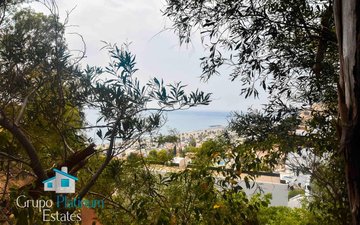 Property slide 24