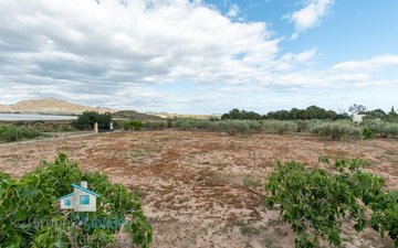 Property slide 31