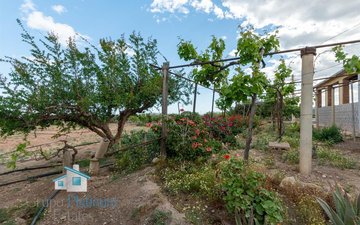 Property slide 35