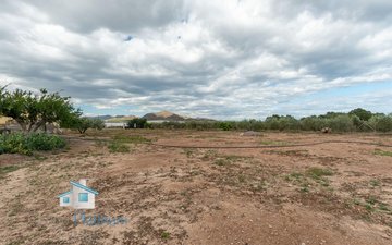 Property slide 37