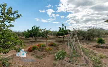 Property slide 36