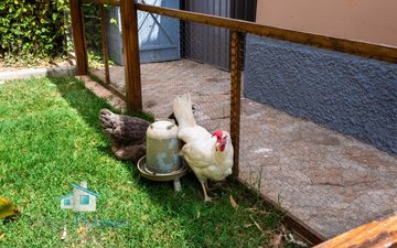 Property slide 17