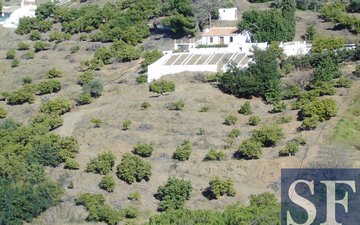 Property slide 10