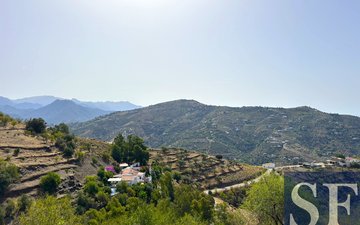 Property slide 19