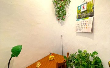 Property slide 13