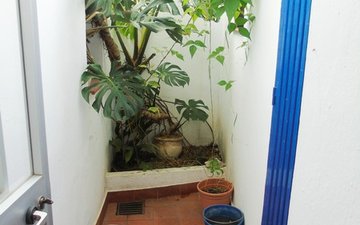 Property slide 6