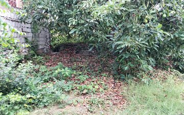 Property slide 19