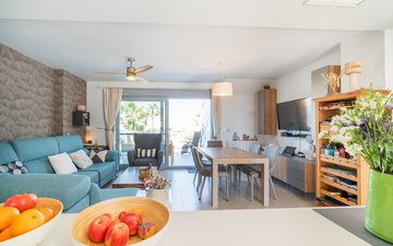 Property slide 15