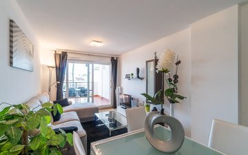 Property slide 31