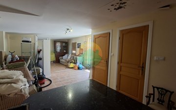 Property slide 13