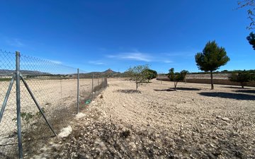 Property slide 3