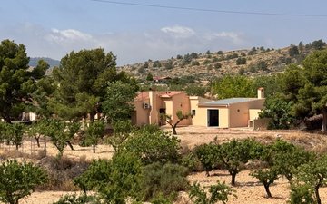 Property slide 27