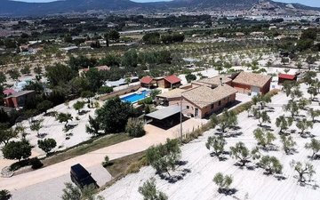 Property slide 31