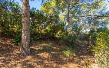 Property slide 46