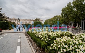 Eigenschaftsfolie 11