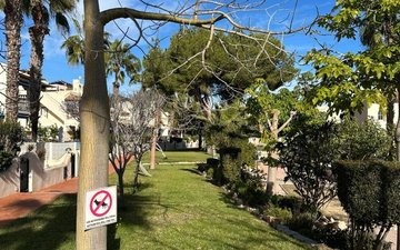 Property slide 31