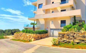 Property slide 16