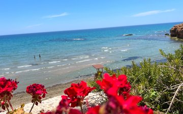 Слайд недвижимости 2