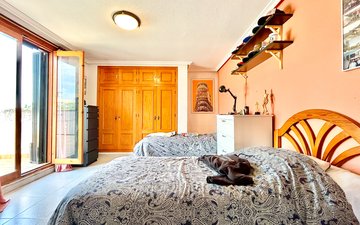 Property slide 31