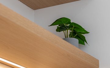 Property slide 24