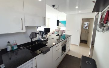 Property slide 12