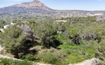 Property slide 10