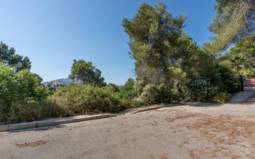 Property slide 15
