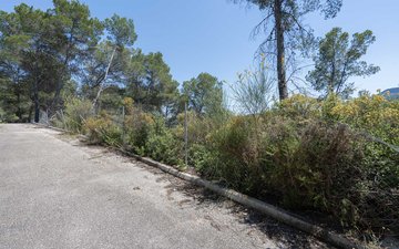 Property slide 29