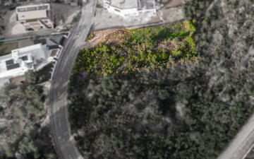 Property slide 6