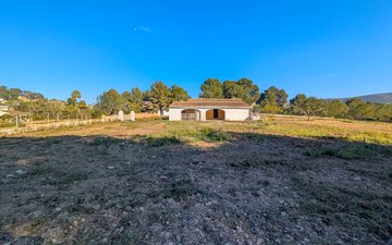 Property slide 37