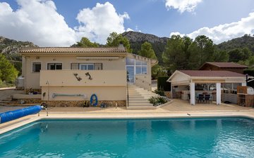 Property slide 31