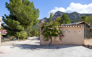 Property slide 43