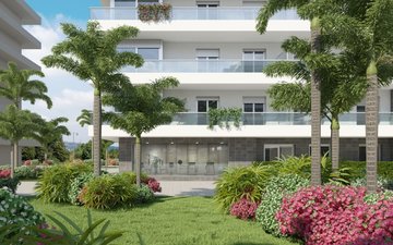 Property slide 6