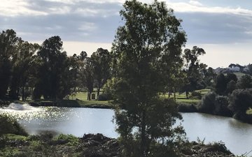 Property slide 12
