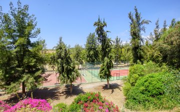 Property slide 19