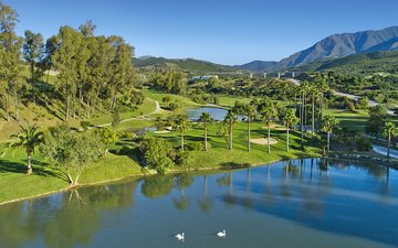 Eigenschaftsfolie 14